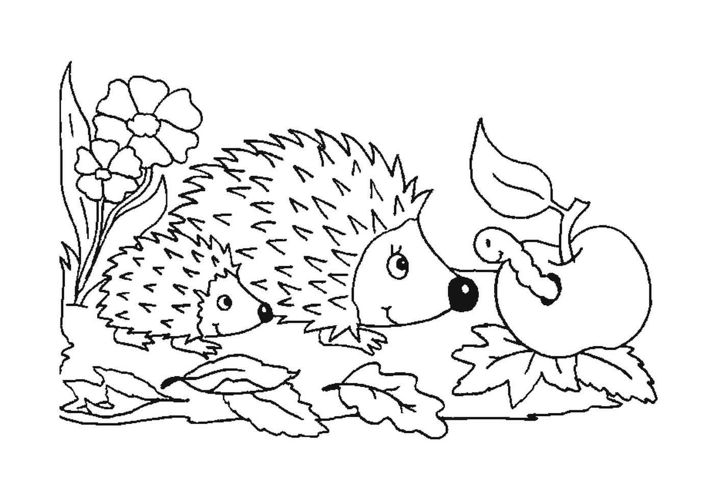  Flowers, two hedgehogs and an apple 