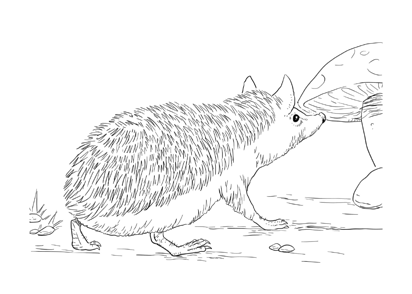  Realistic hedgehog wanting to eat a fungus 