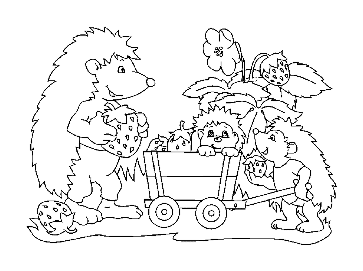  The hedgehogs pick up the strawberries 