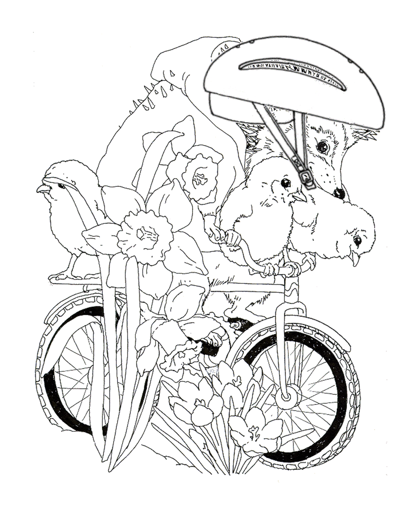  Hedgehog su una bicicletta 