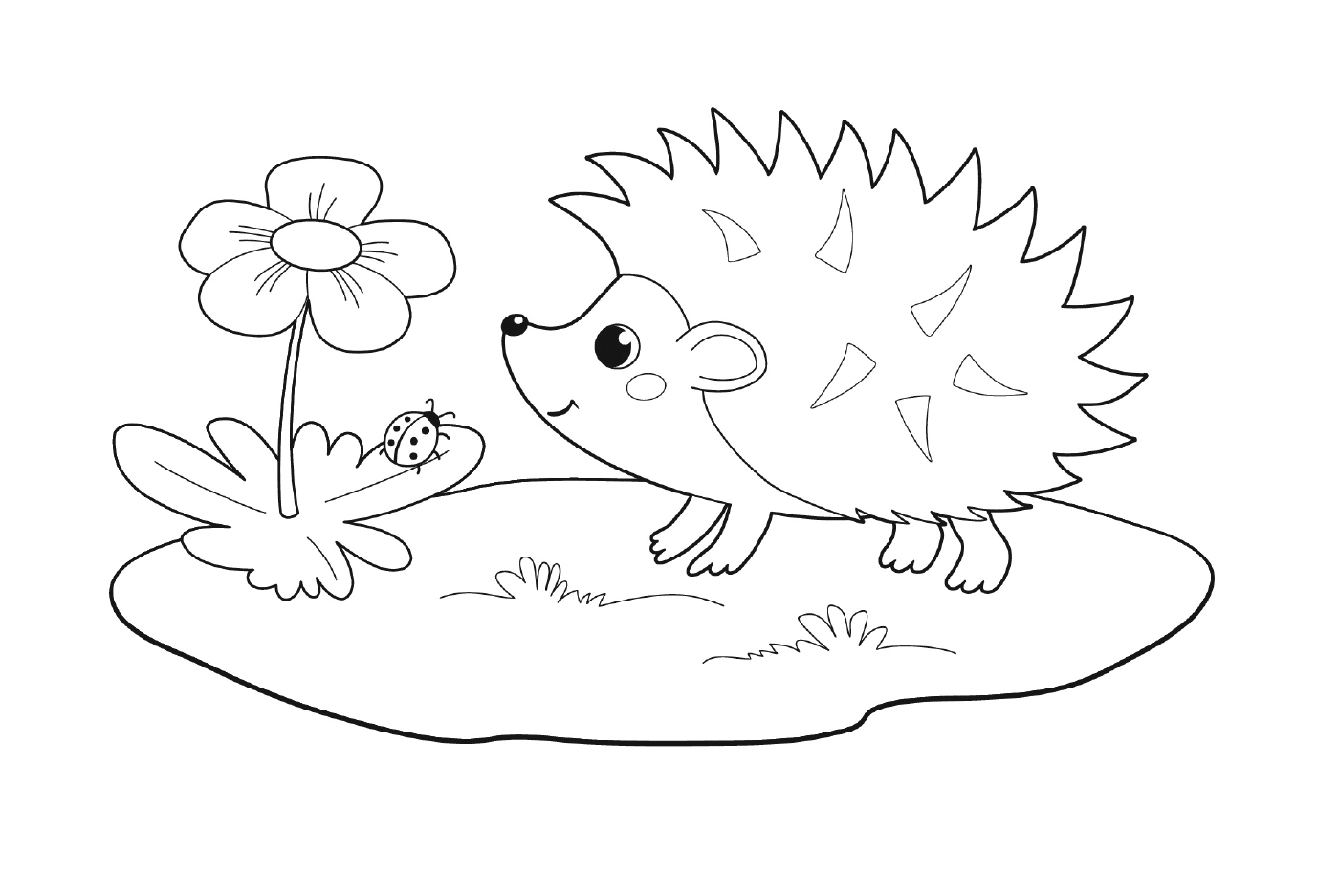  Adorable hedgehog in nature 