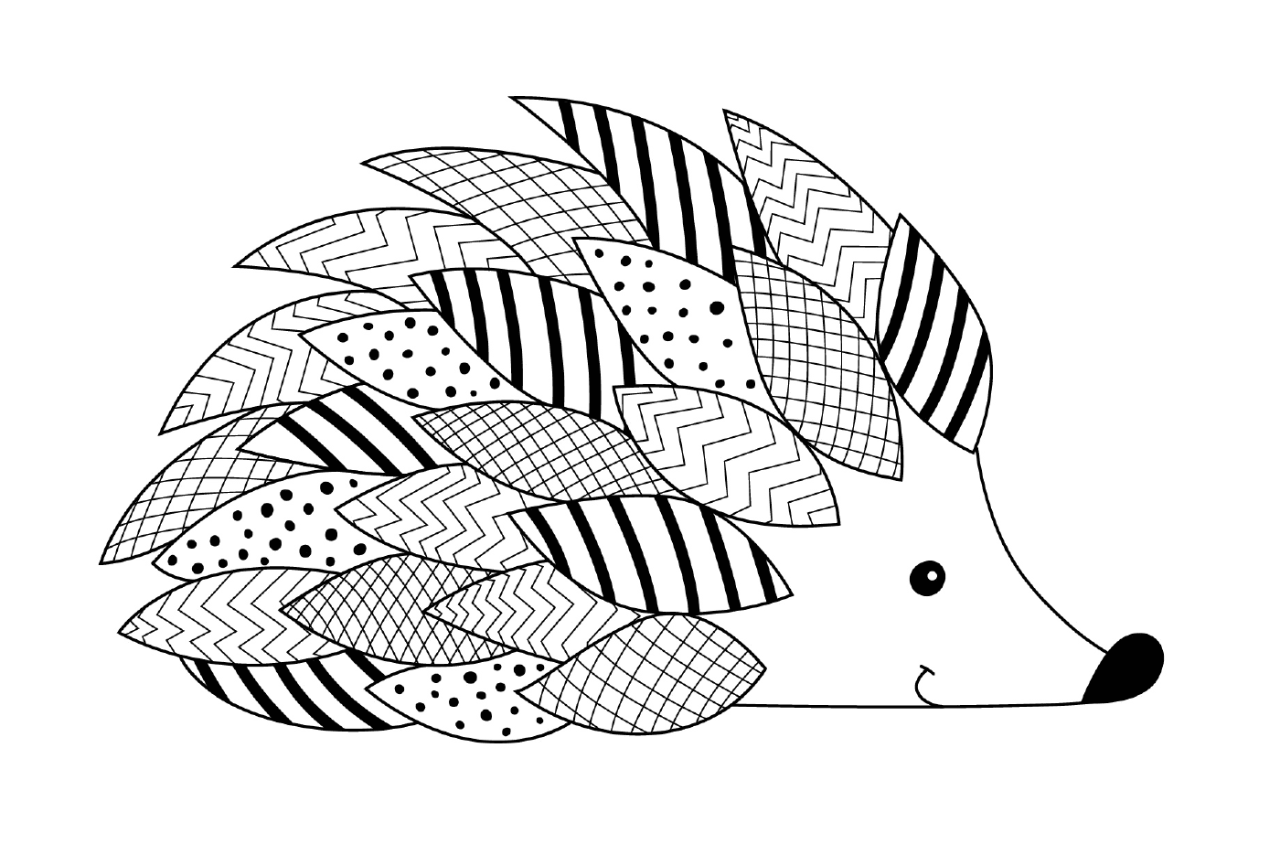  Hedgehog with many patterns 