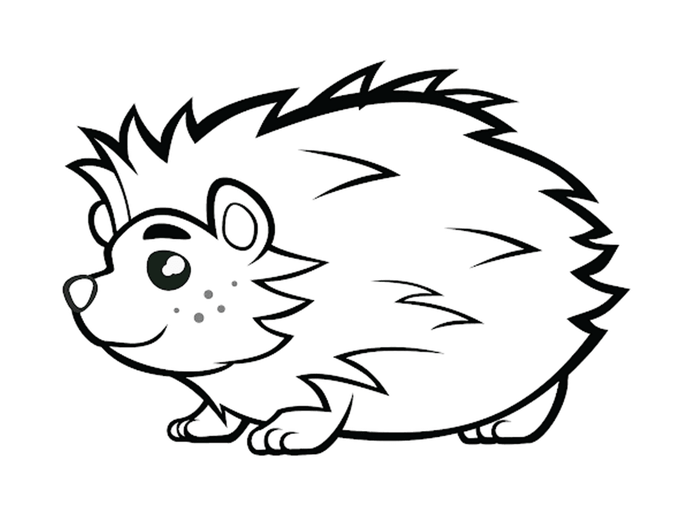  Hedgehog with beautiful eyes 