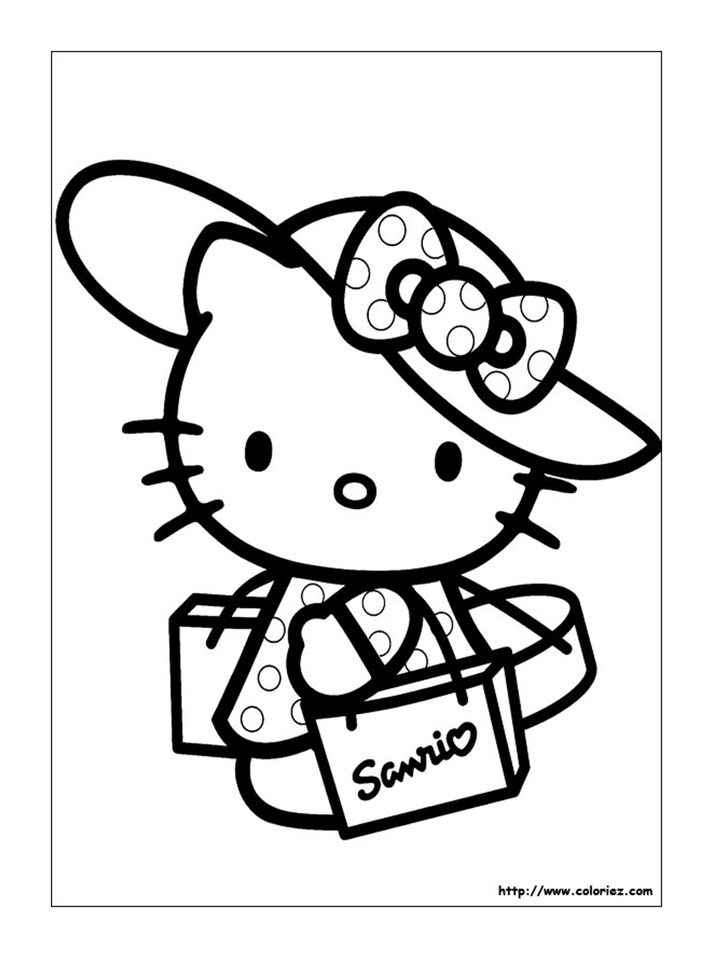  Hello Kitty with a hat and a bag 