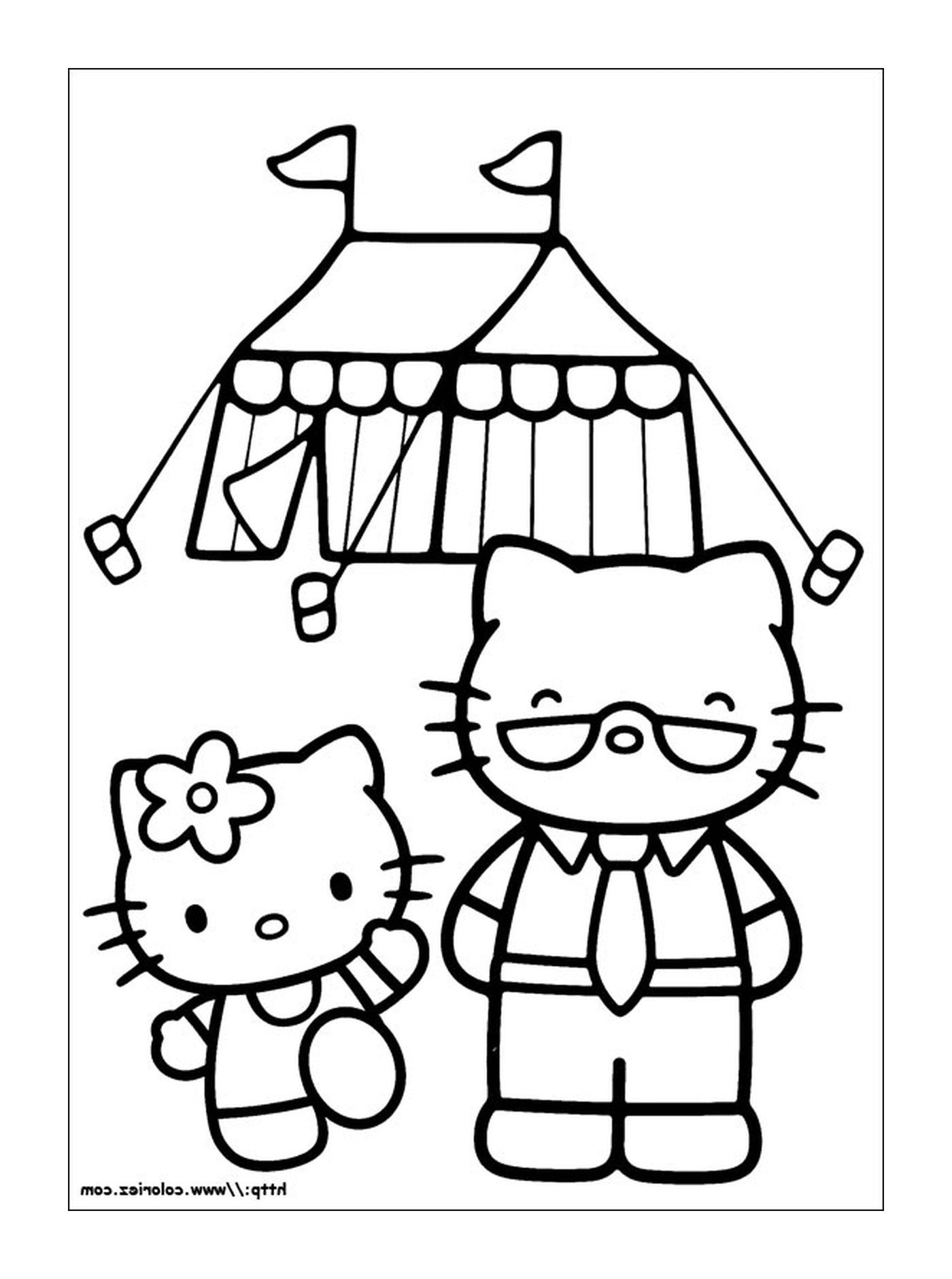  Hello Kitty and a cat 