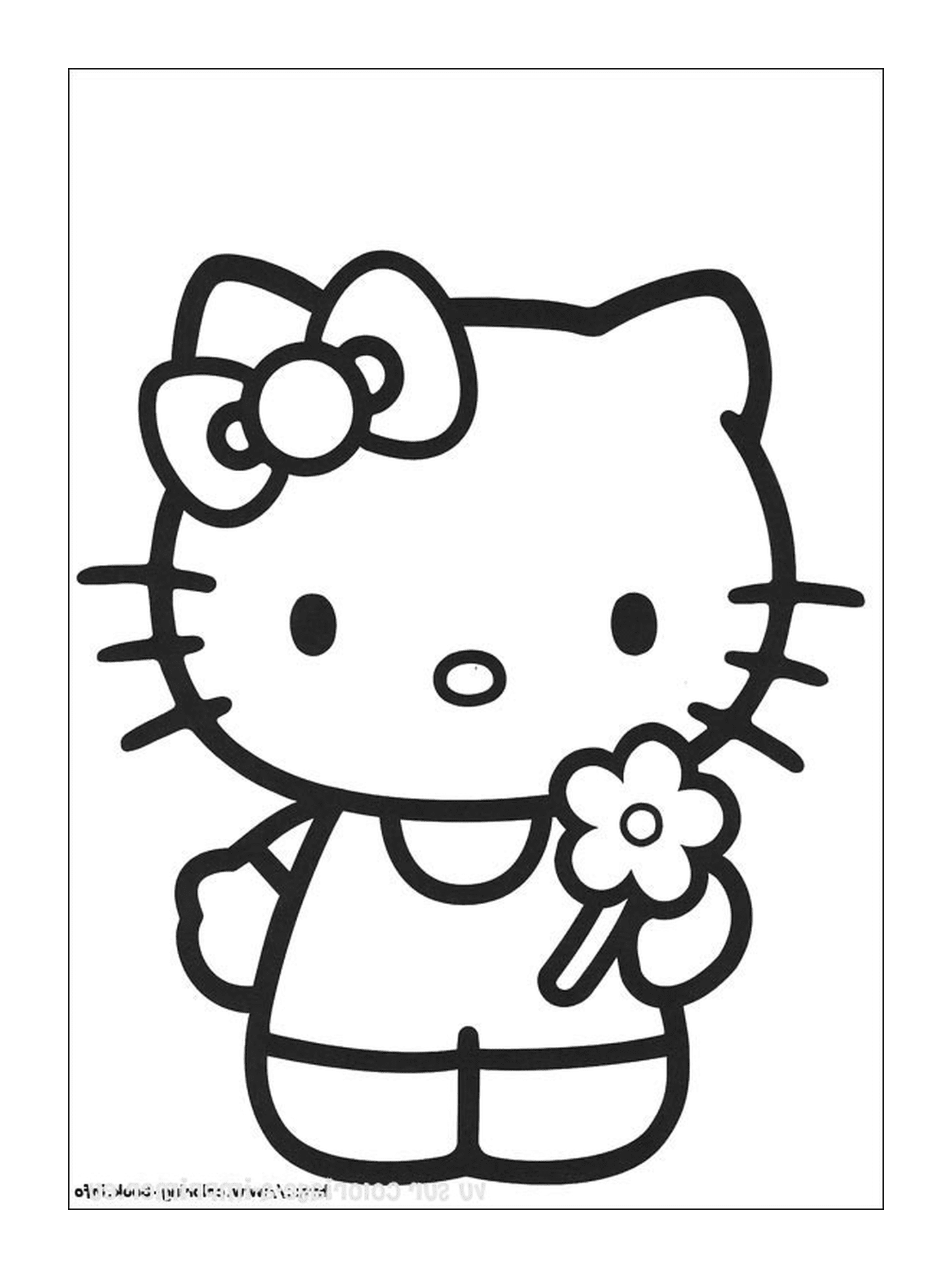  Hello Kitty cute and charming 