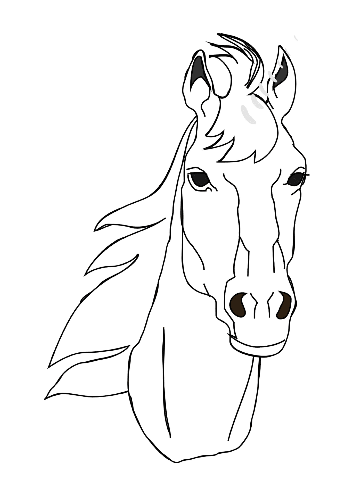  Horse face portrait 
