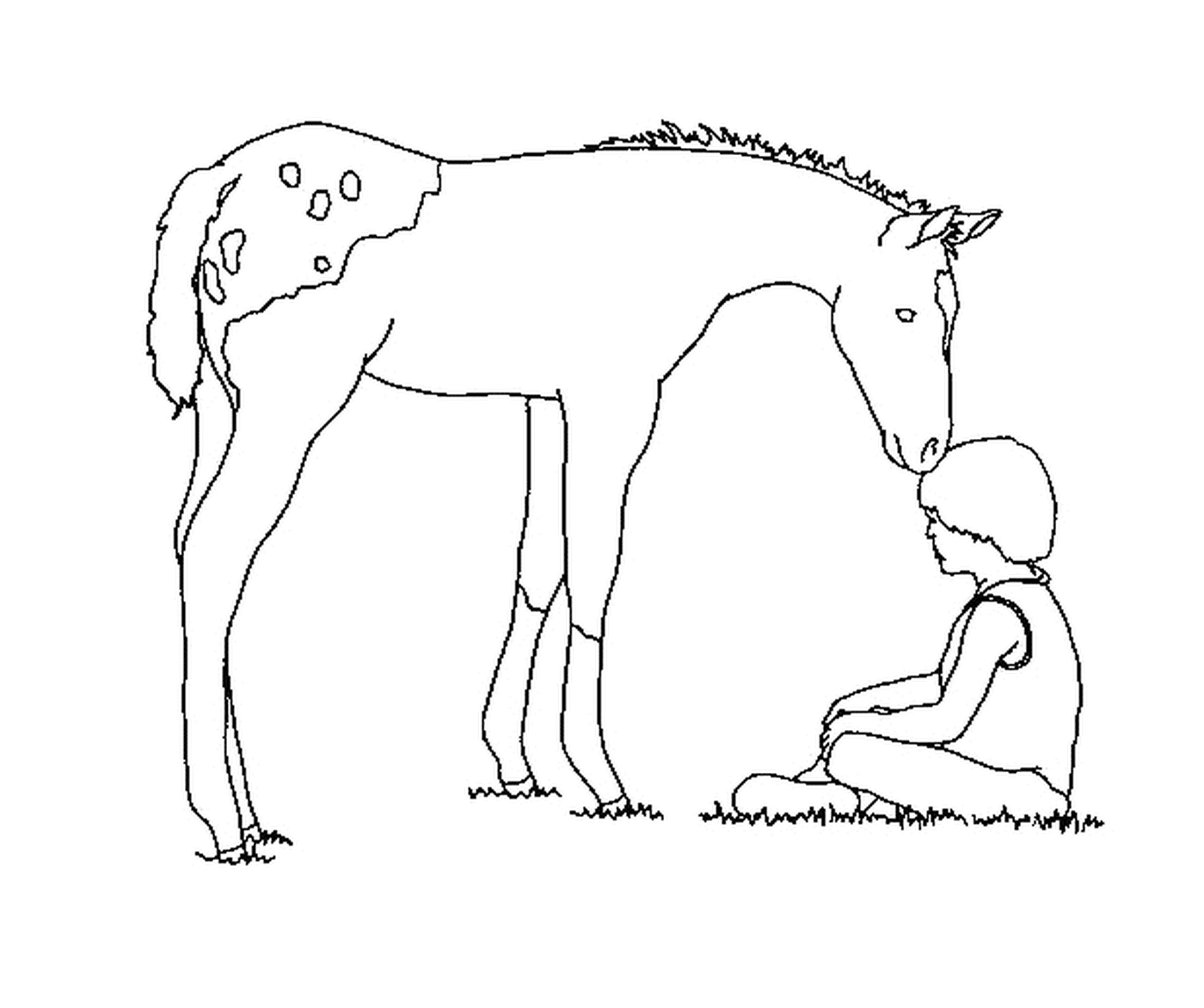  Элегантная лошадь, замеченная с её маленьким жеребцом 