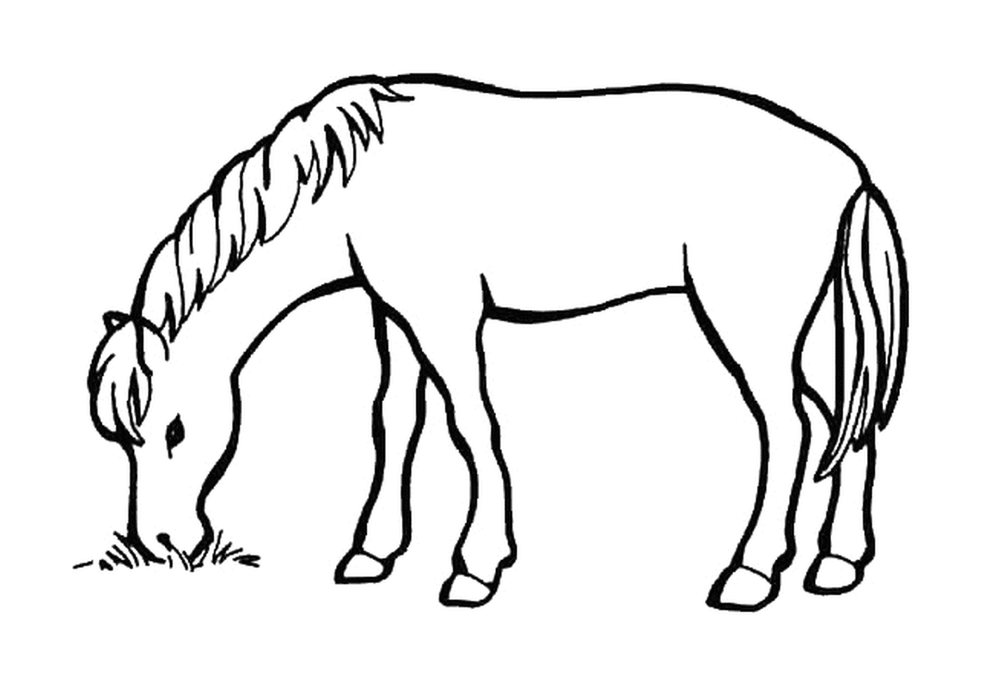 Мирная лошадь, питающаяся травой