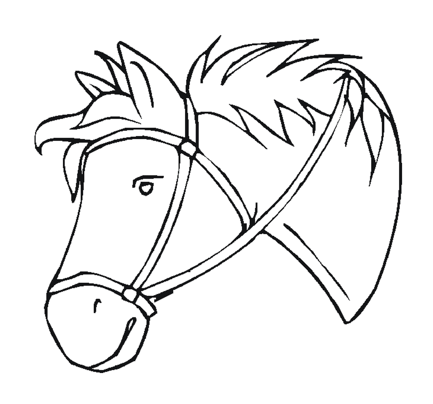  Graceful head of a horse with a harness 