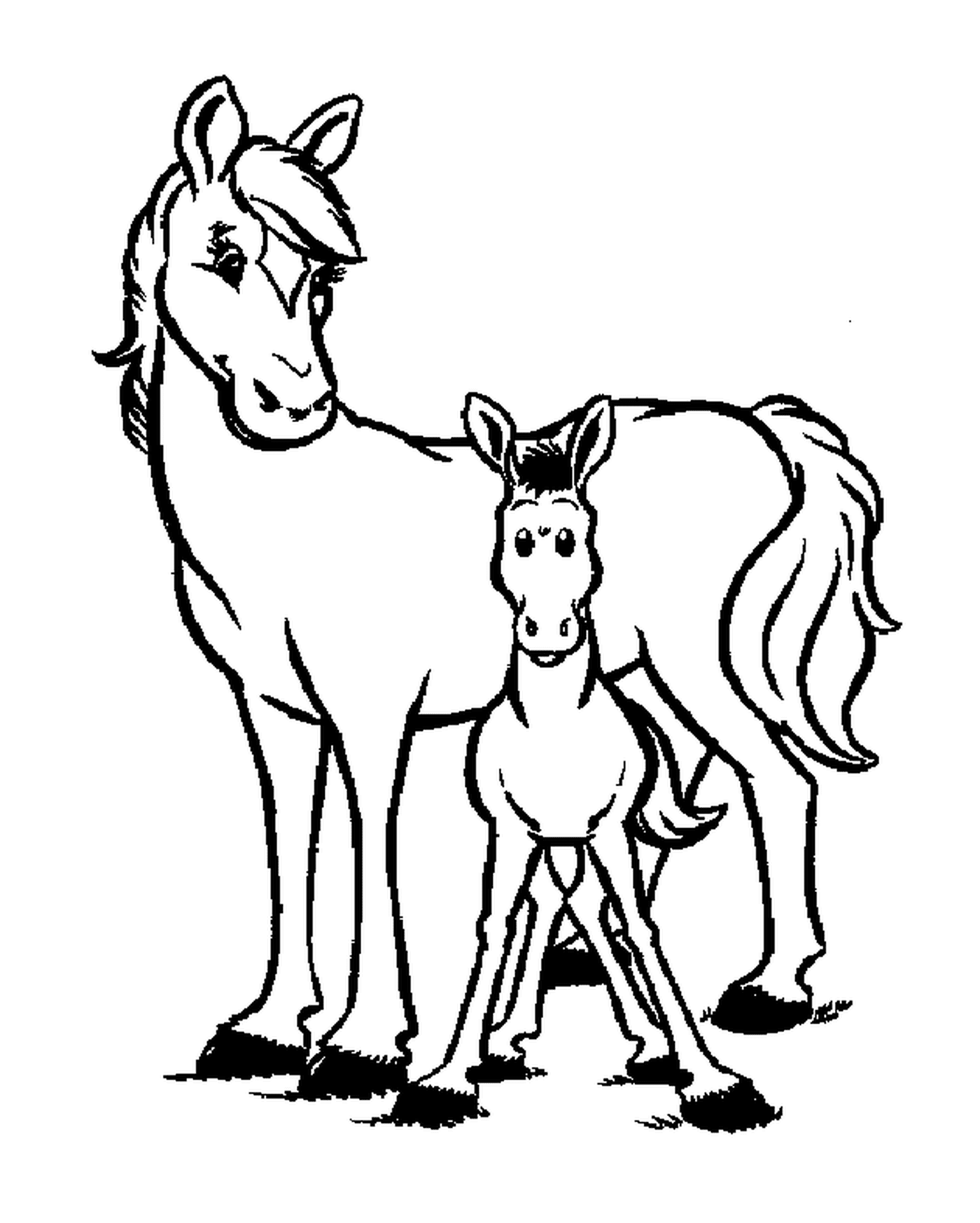  Duo di cavallo: un adulto e un puledro 