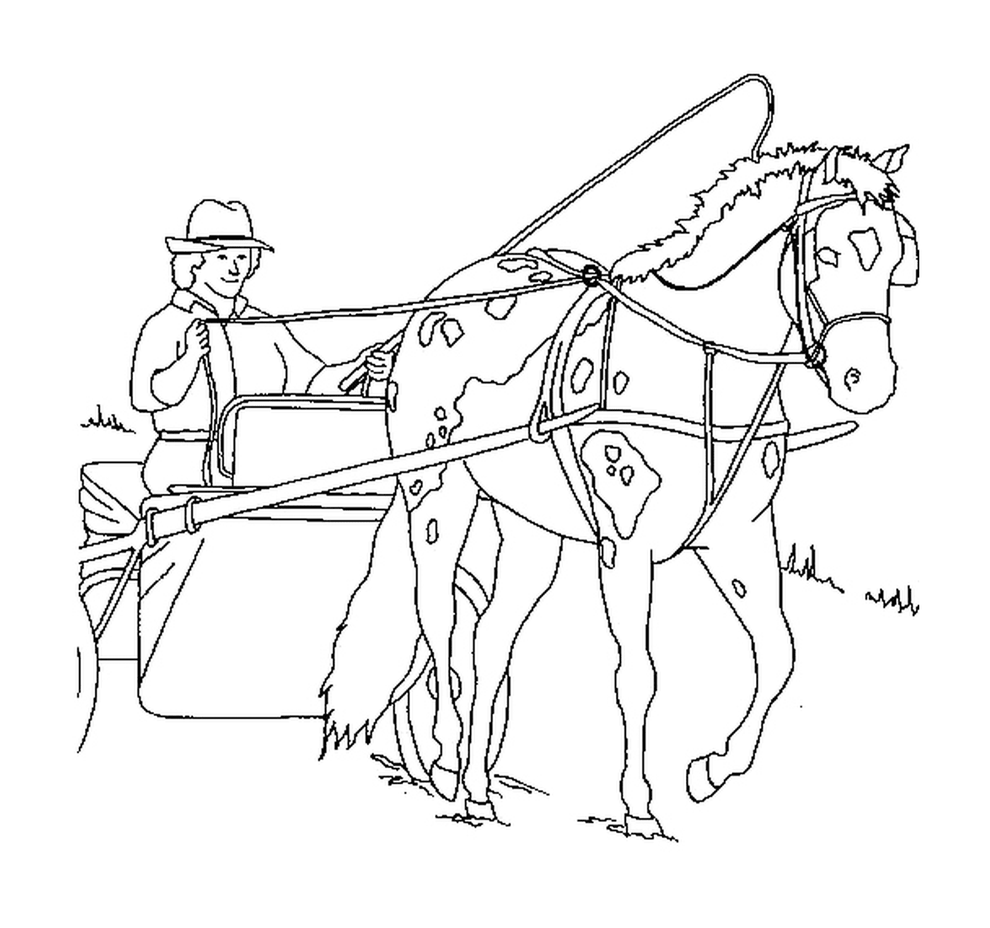  Horse pulling a carriage with elegance 
