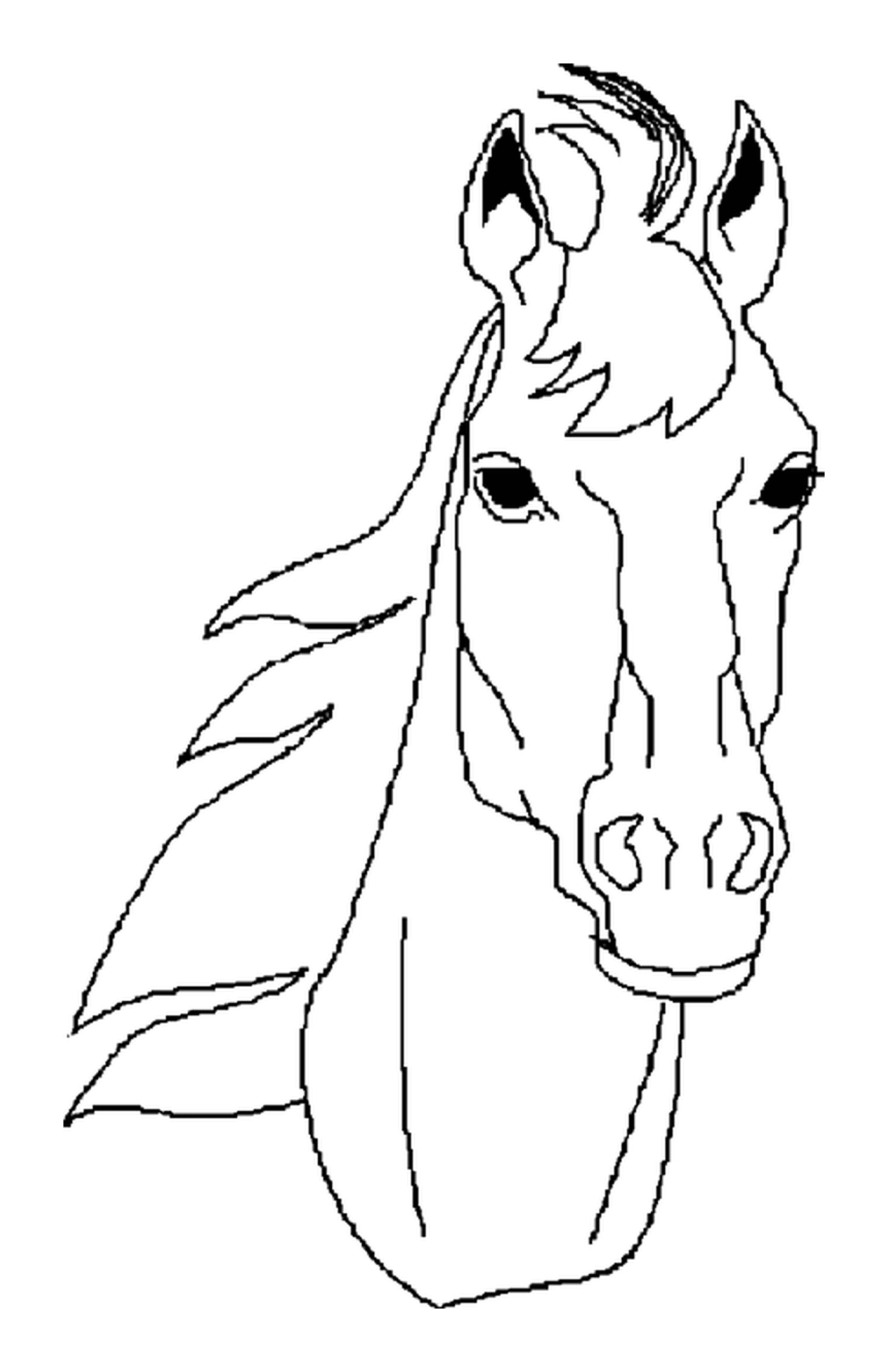  Retrato facial de una cabeza de caballo 
