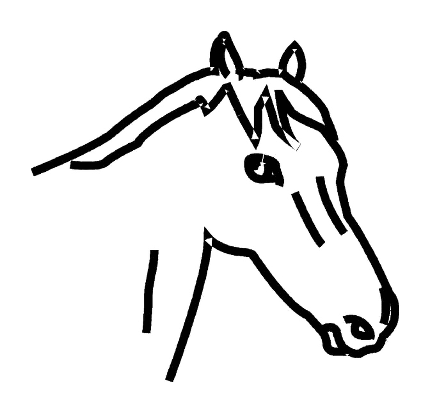  Der imposante Kopf eines Pferdes 