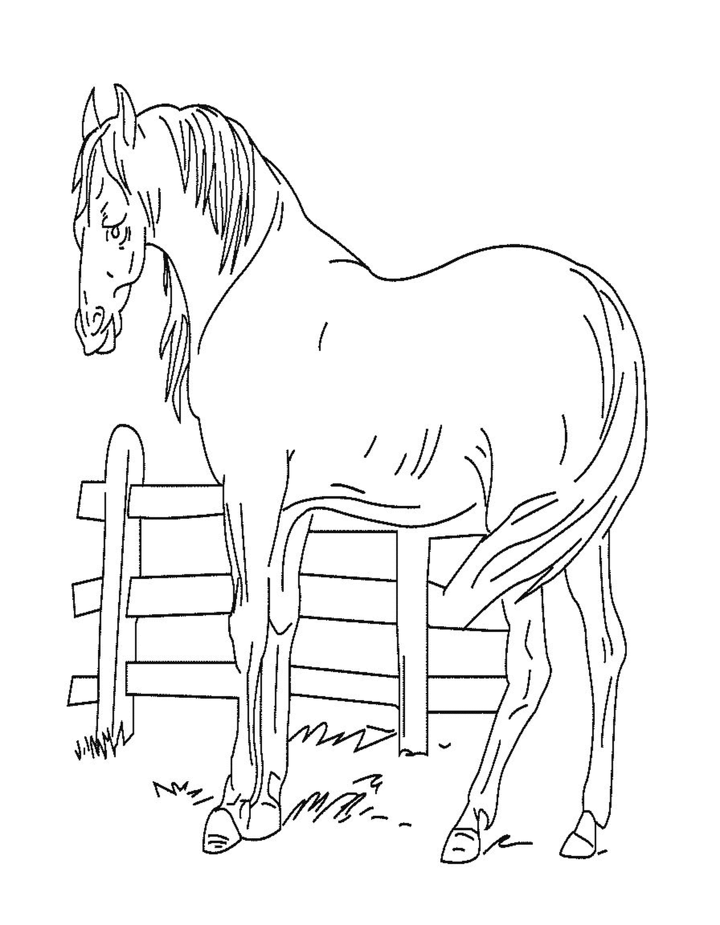  Лошадь перед деревянными воротами 