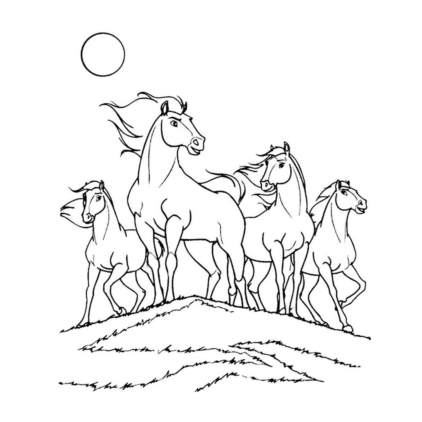 Группа лошадей стоит на травяном холме 