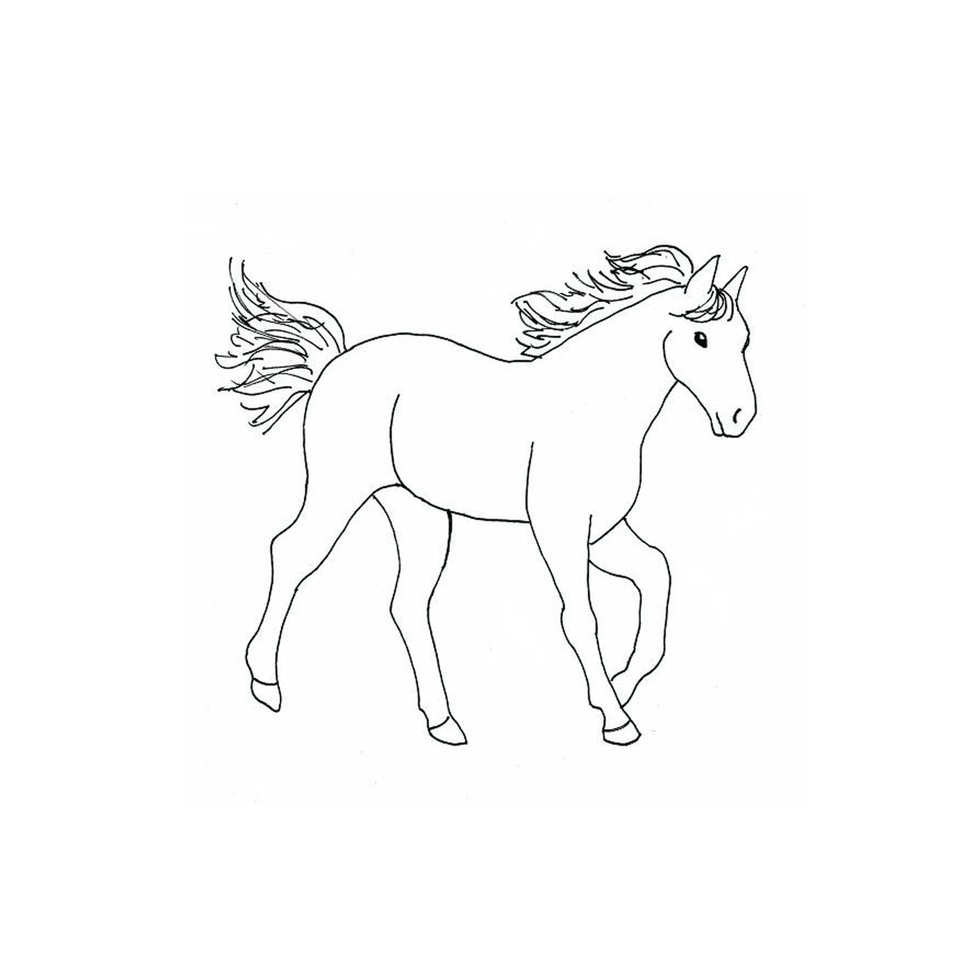  Cavallo in stile occidentale con una criniera lussureggiante 