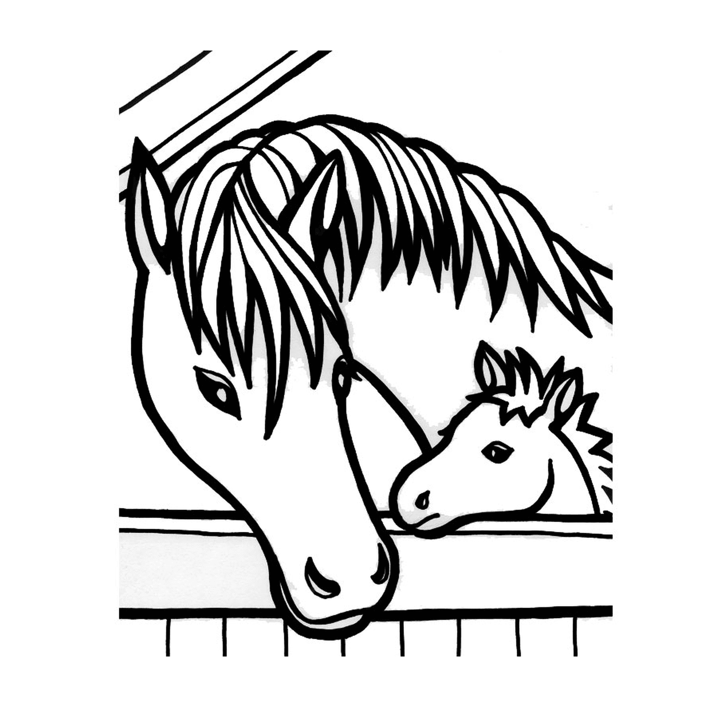  Лошадь и пони присматривают за забором 