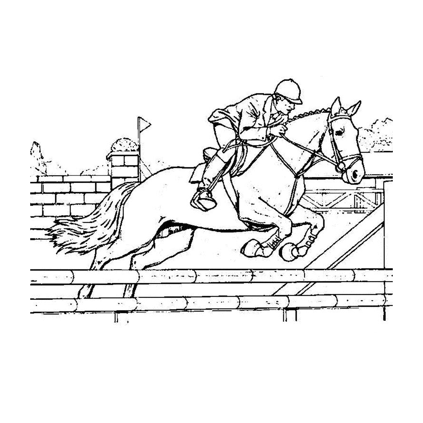  Man riding a horse and jumping an obstacle 