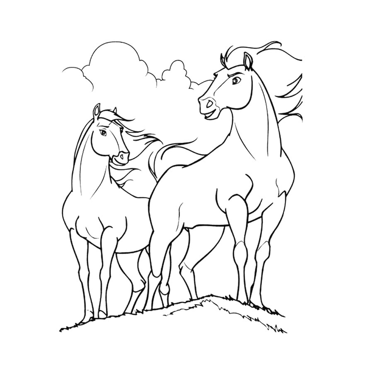  Un par de caballos de pie en una colina herbosa 