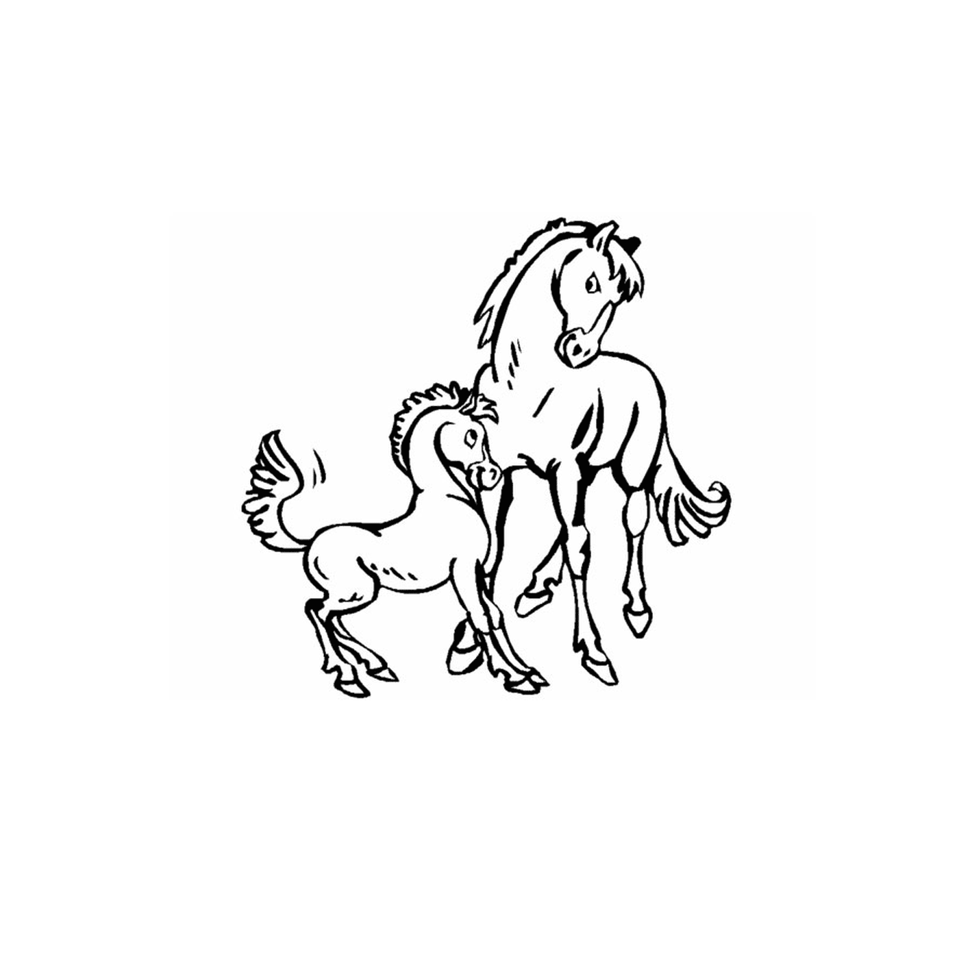  Лошадь и его очаровательный жеребец 