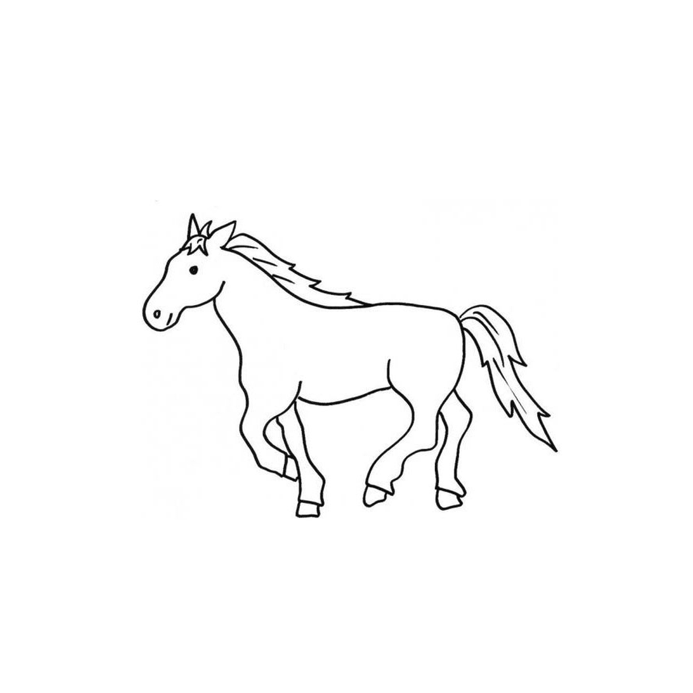  Arabisches Pferd, das auf einem Feld steht 