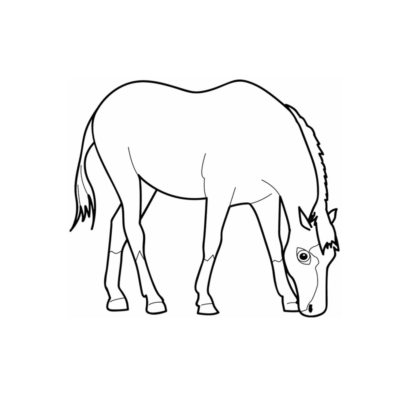  Одинокая лошадь - смотрящая лошадь 