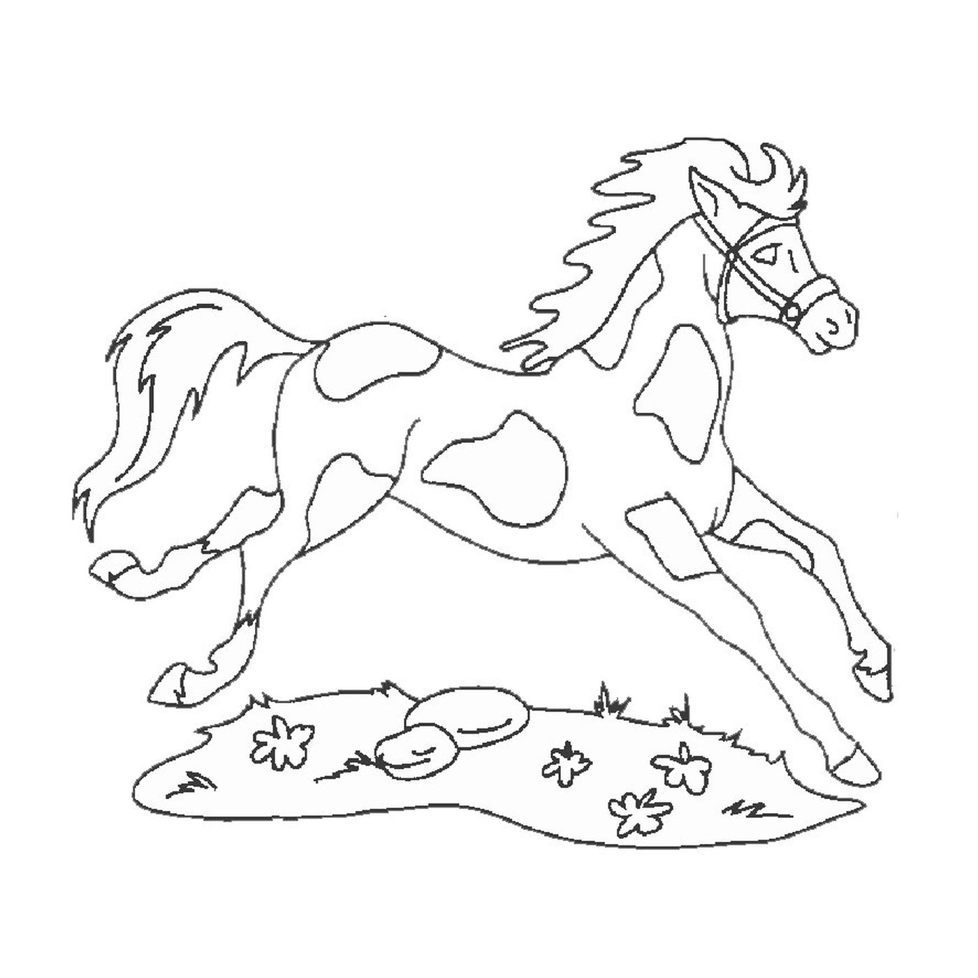  Лошадь и собака - бегущая лошадь 