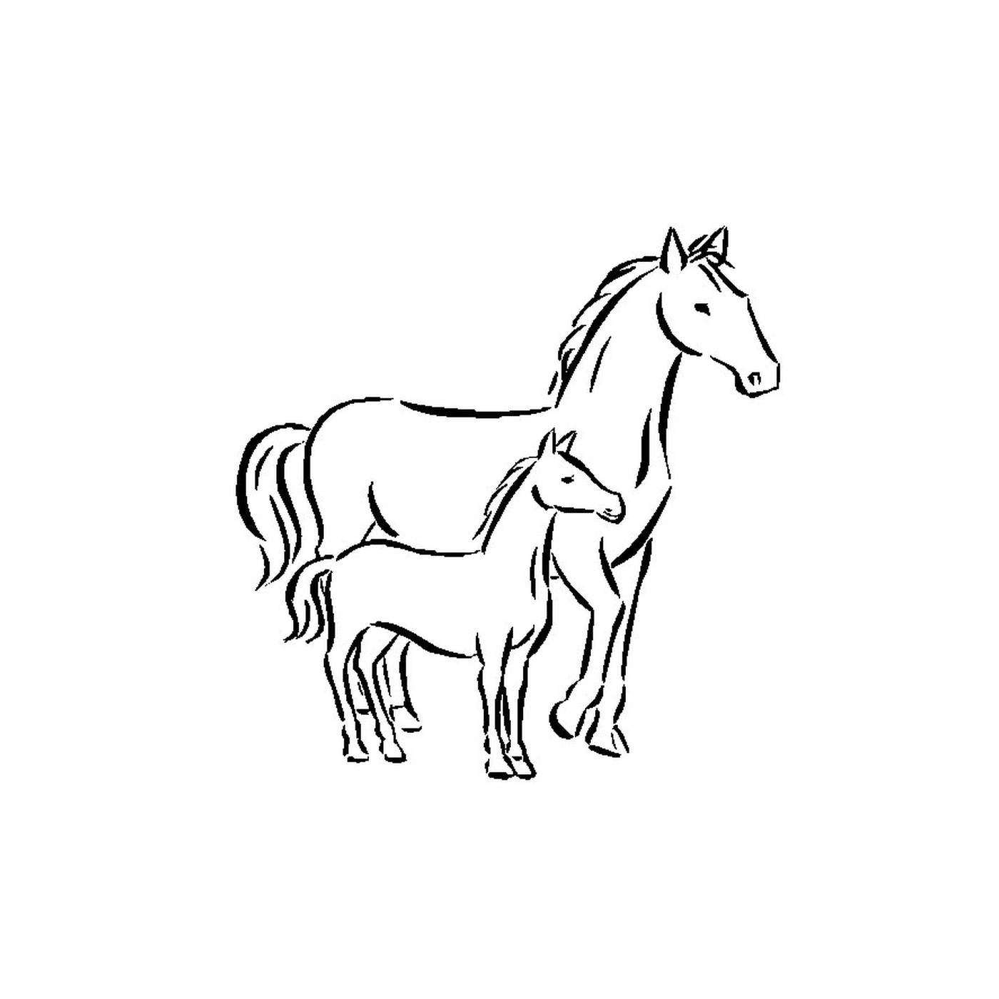  Pferde - Ein Pferd und ein Fohlen stehen Seite an Seite 
