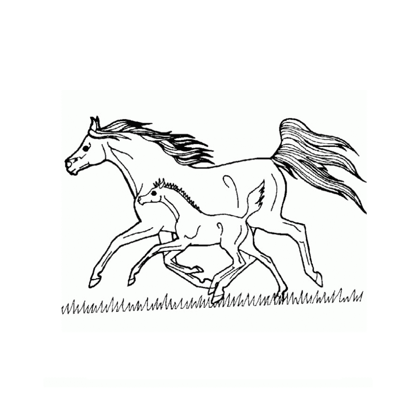  Caballo gran galope - Un caballo y un potro 
