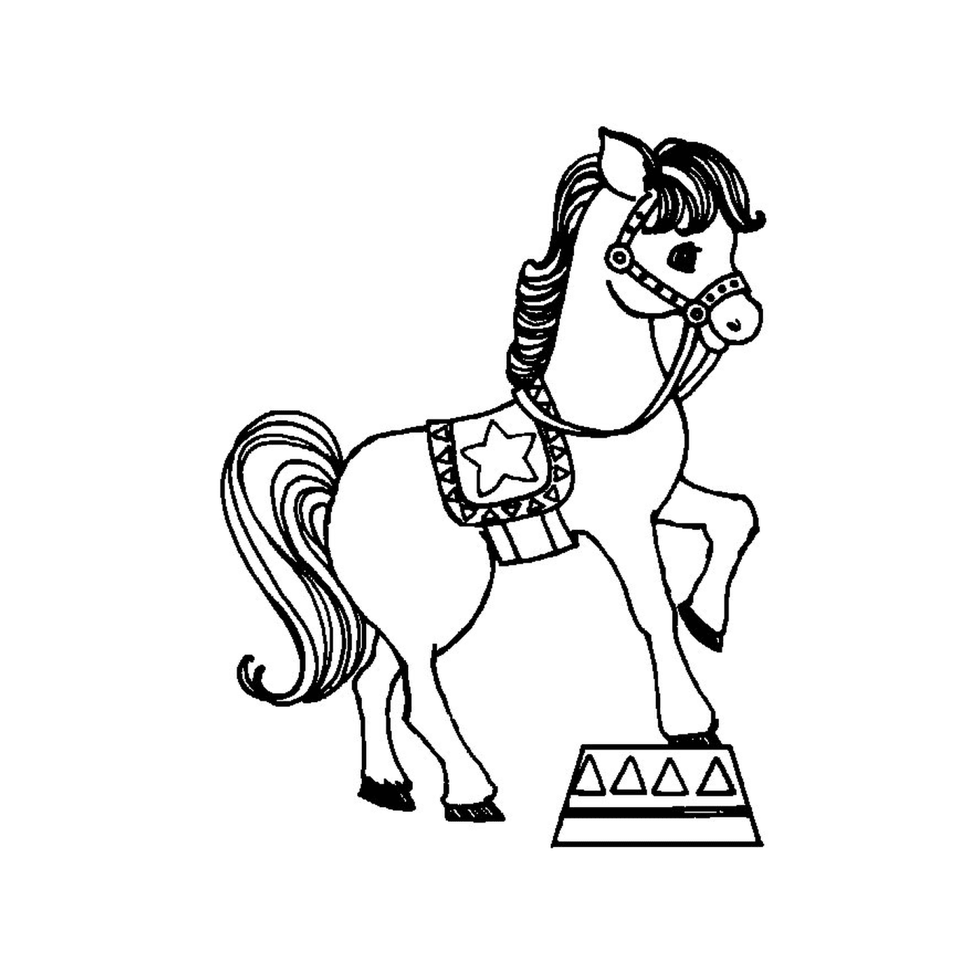  Circo Cavalli - Un cavallo 