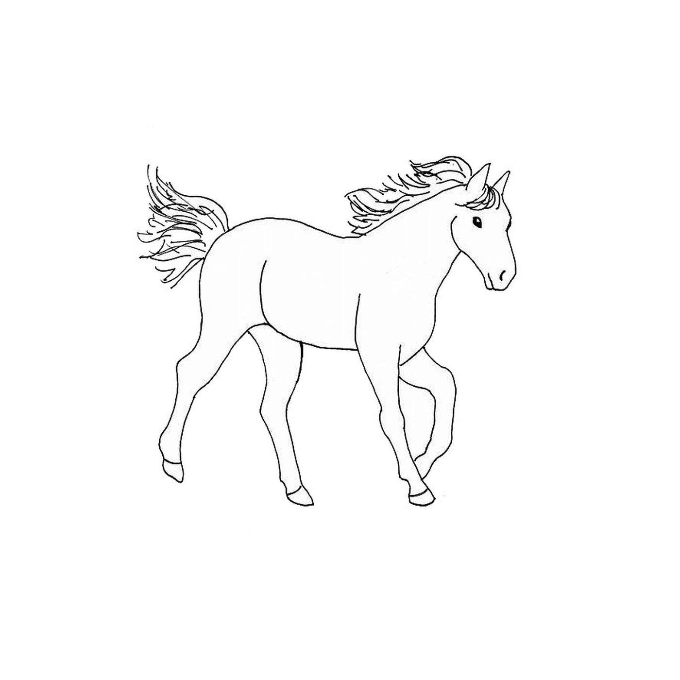  Pferd - ein Pferd 