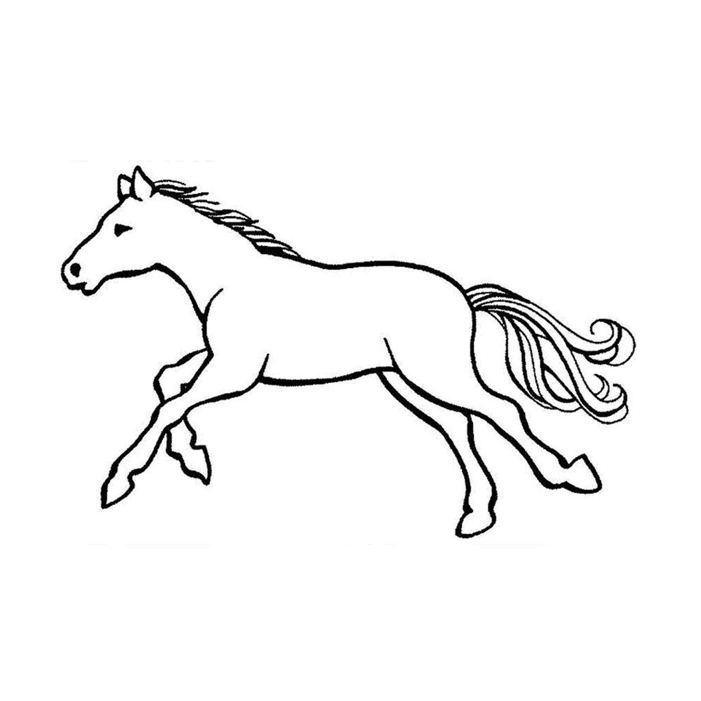  Cavalli con galoppo - Un cavallo che corre 