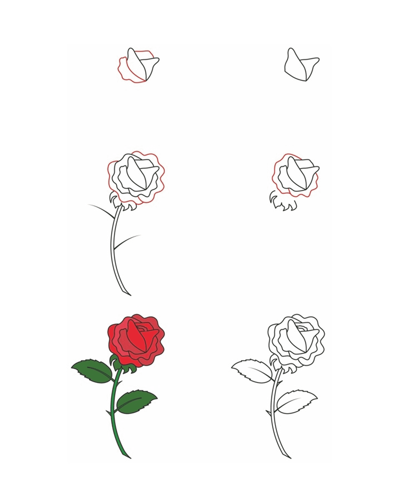  Как рисовать розу 