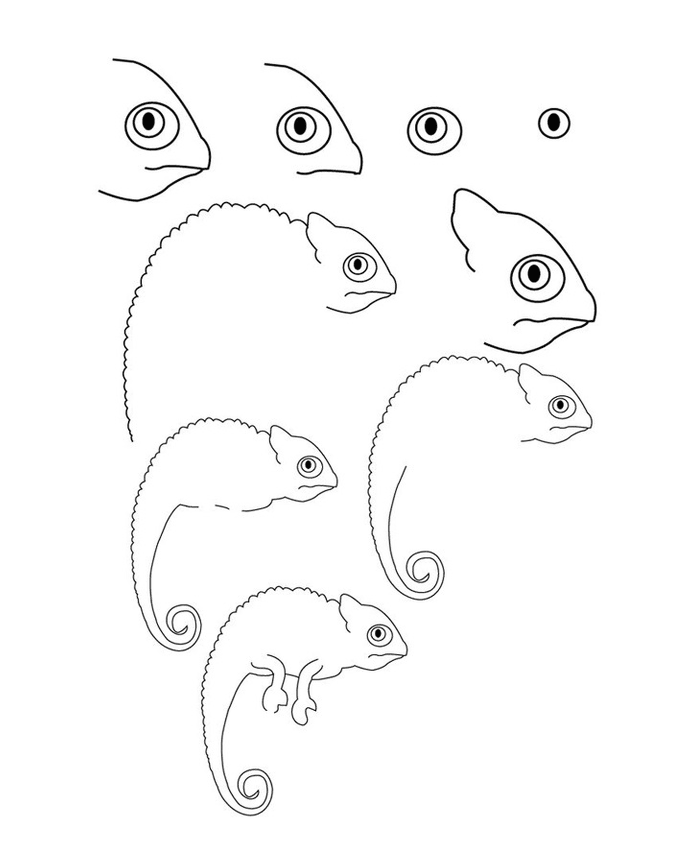  Come disegnare un camaleonte 