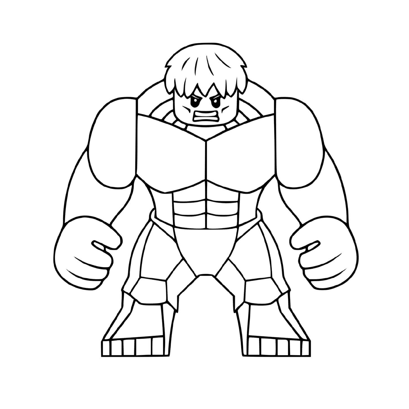  Character of Lego Hulk 