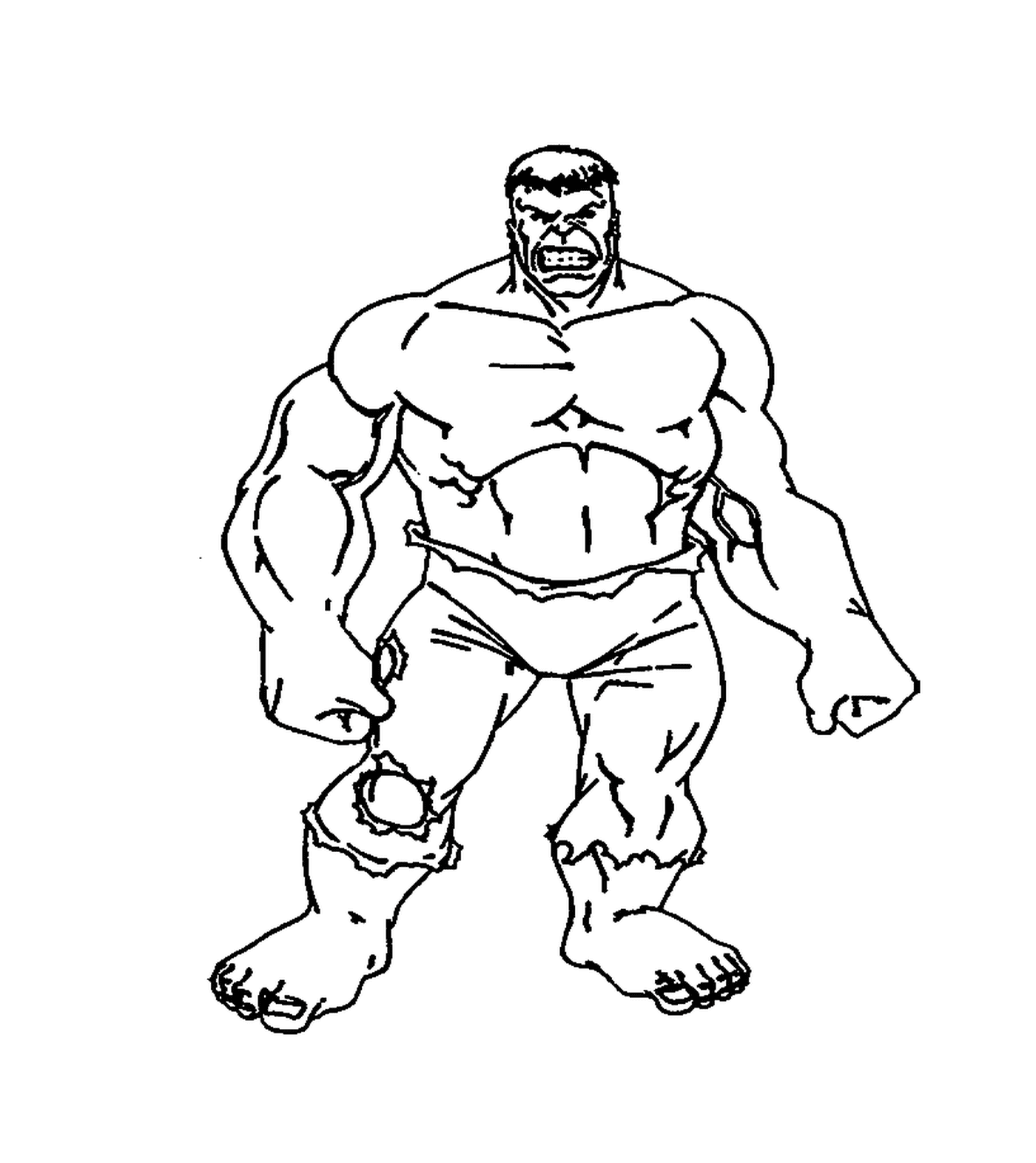  Bruce Banner si trasforma in un Hulk 