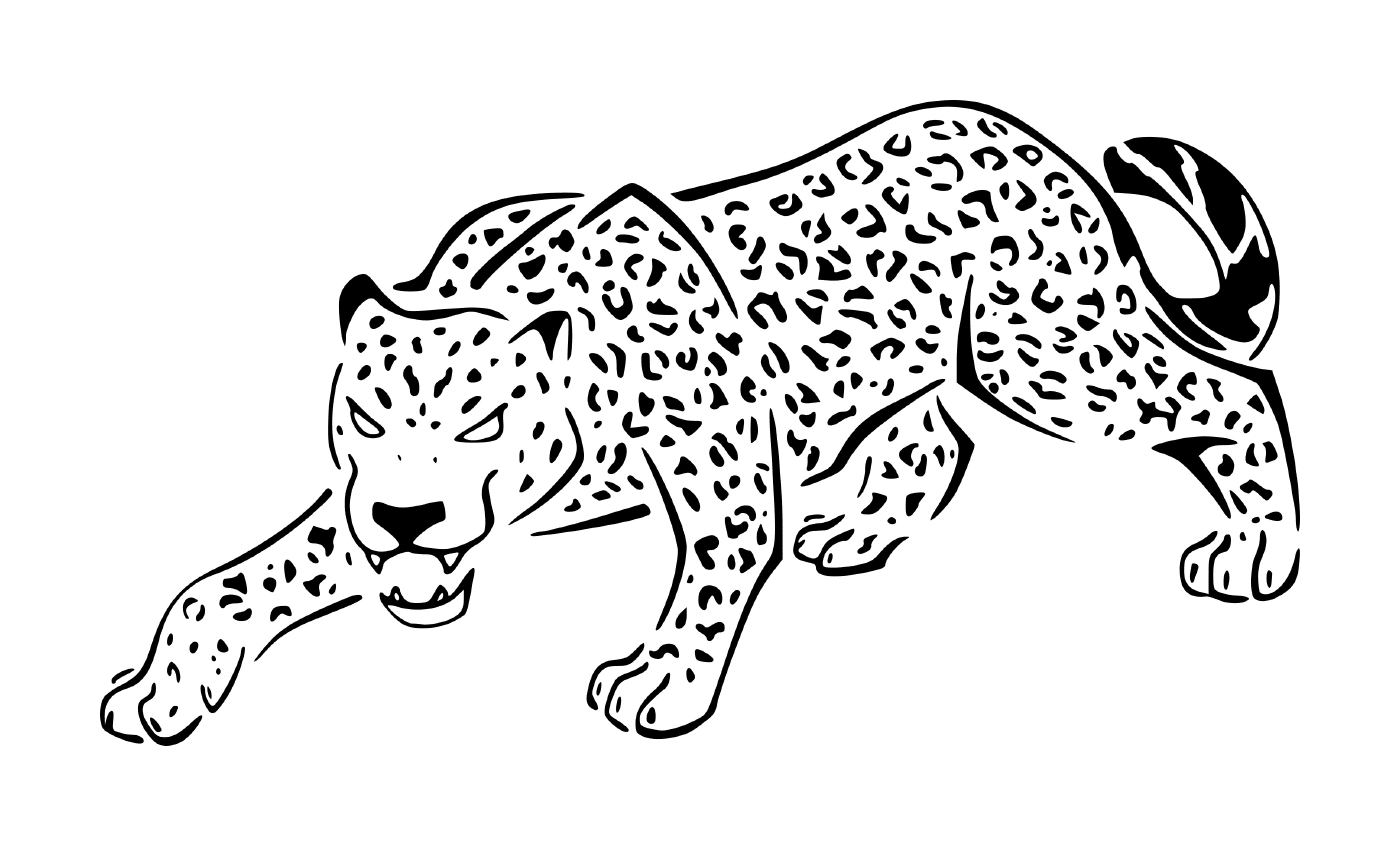  a leopard 