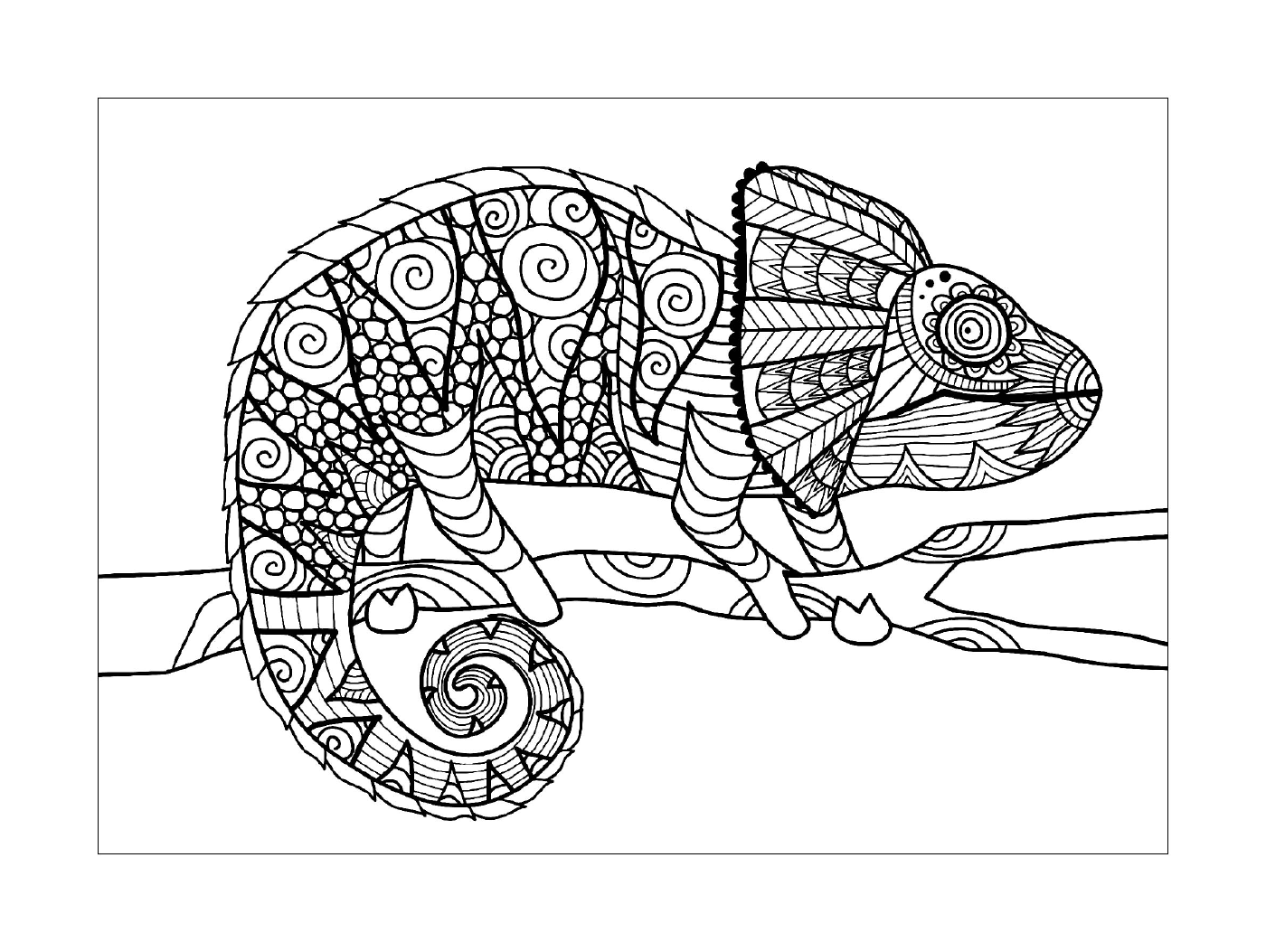  a chameleon on a jungle branch 