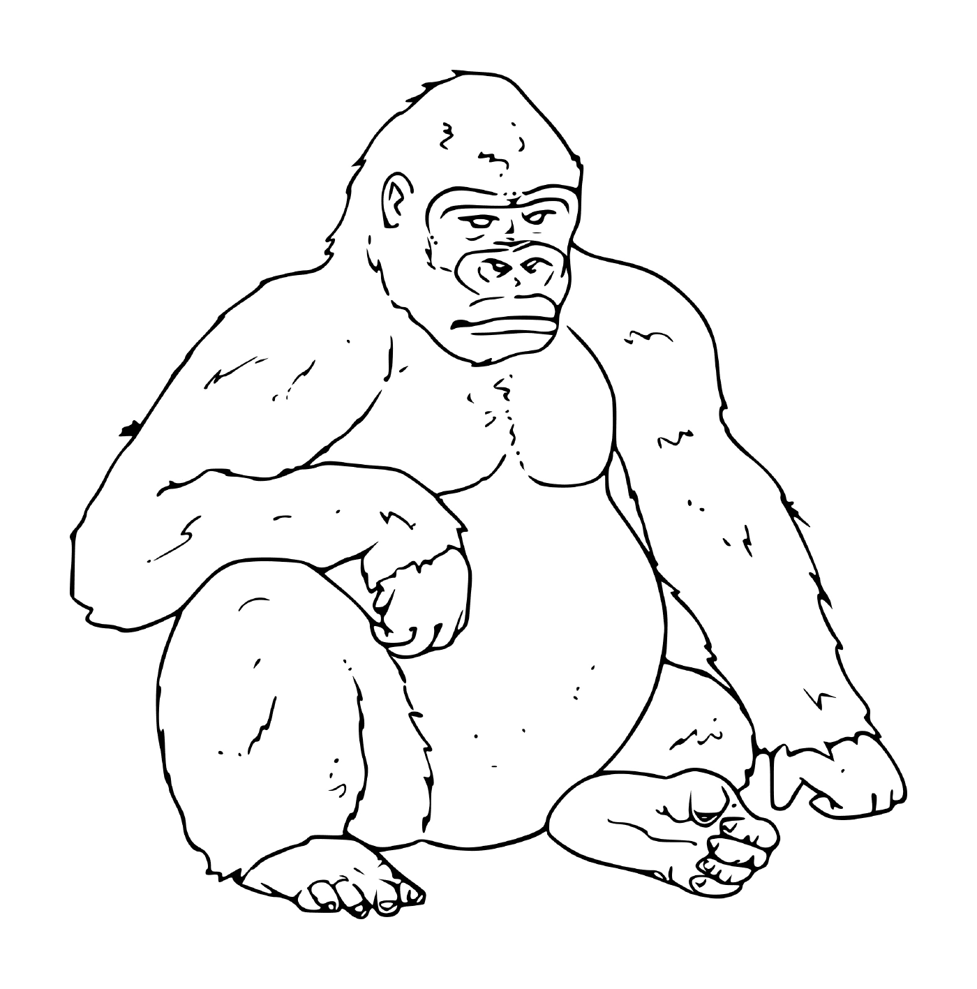  ein Gorilla, der auf dem Boden des Dschungels sitzt 