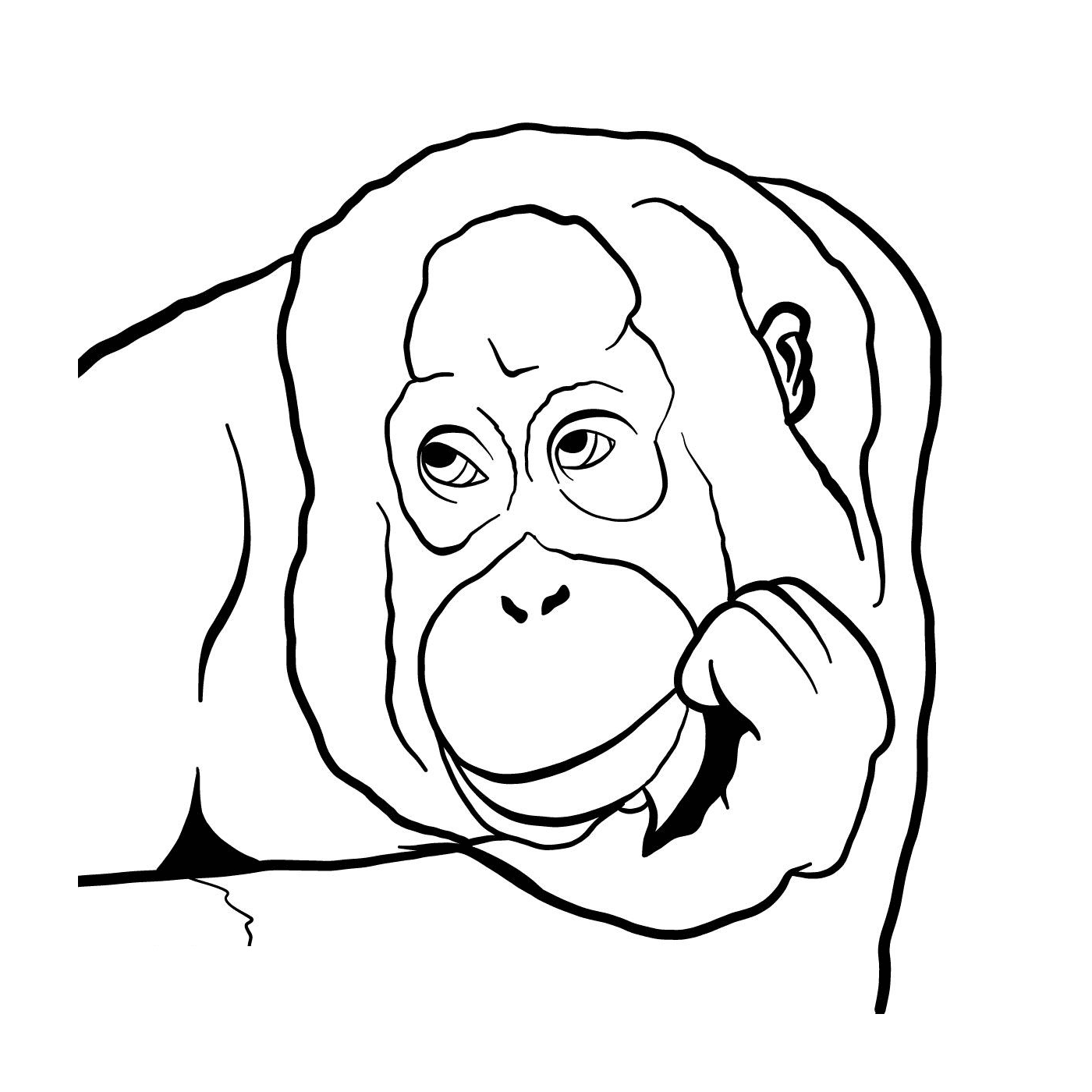  ein Gorilla 