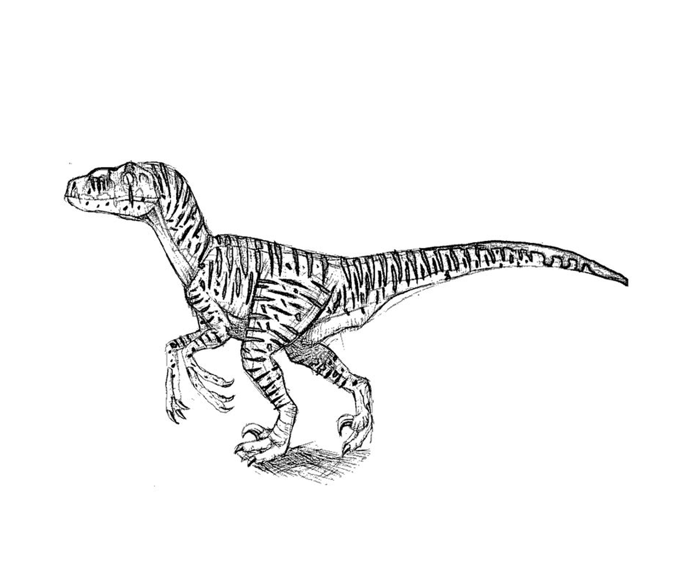  T-Rex da Jurassic Park, maestosa passeggiata 