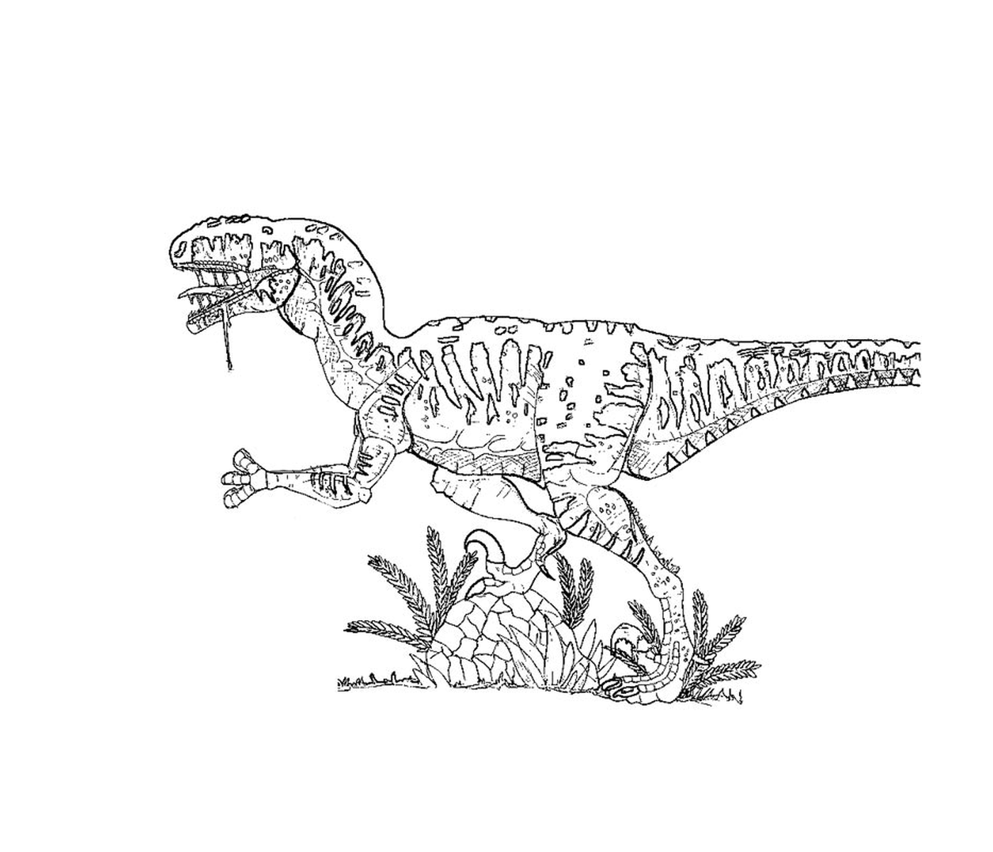  Jurassic Park, König der Tyrannosaurier 