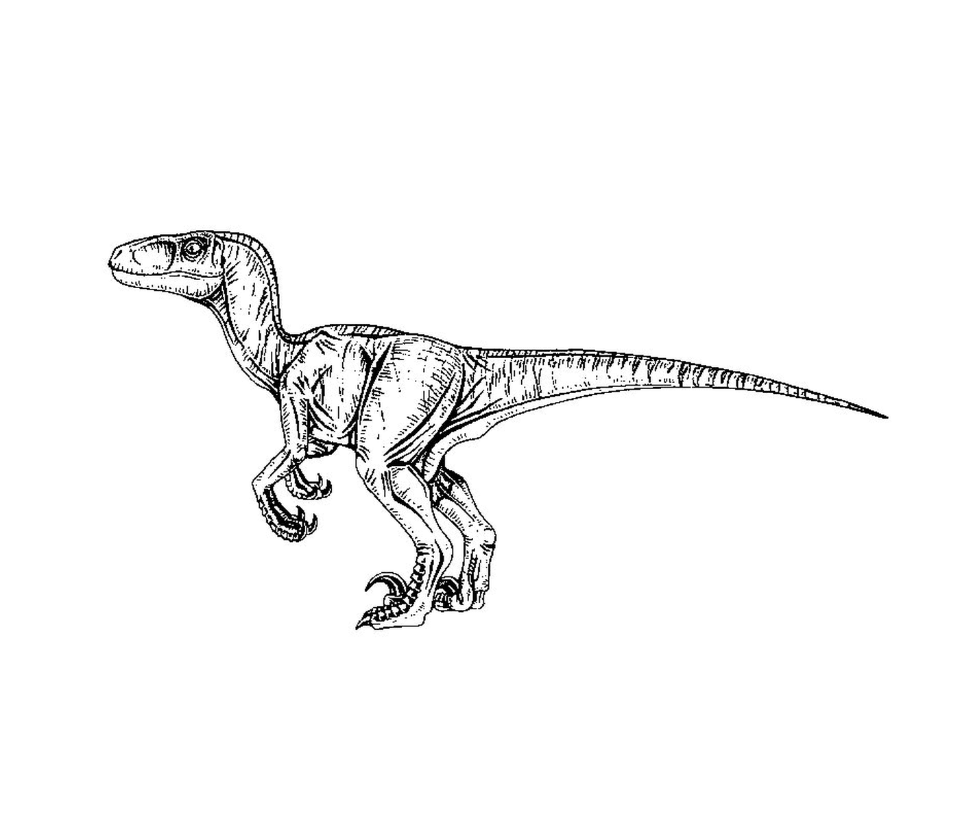  Jurassic World, furchteinflößender Raptor 