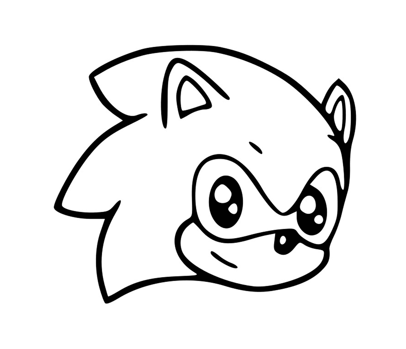  Sonic the hedgehog 