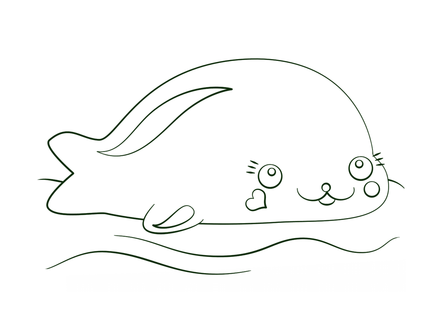  cute seal in water 