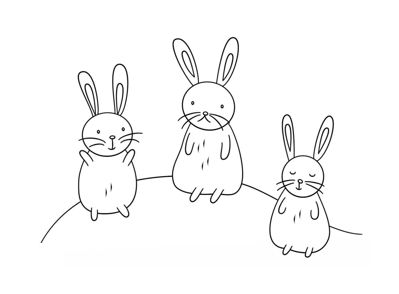  Lindos conejos en grupos 