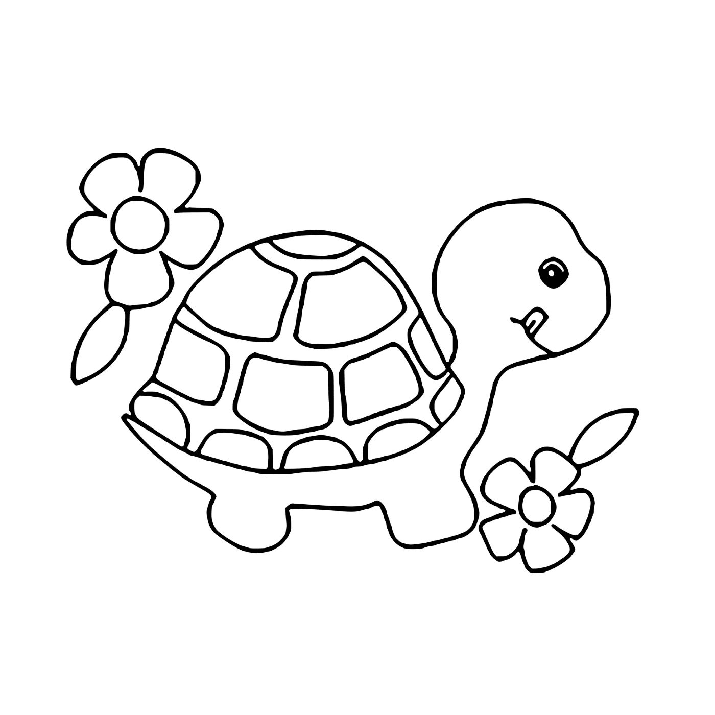  Una tartaruga e fiori 