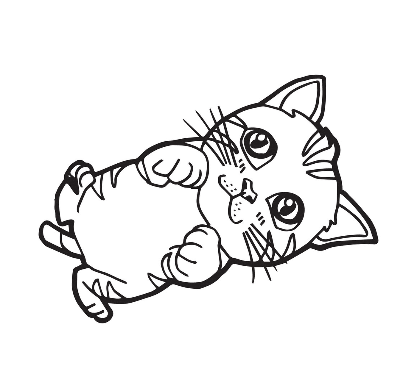  Un gattino dei cartoni animati con gli occhi belli 
