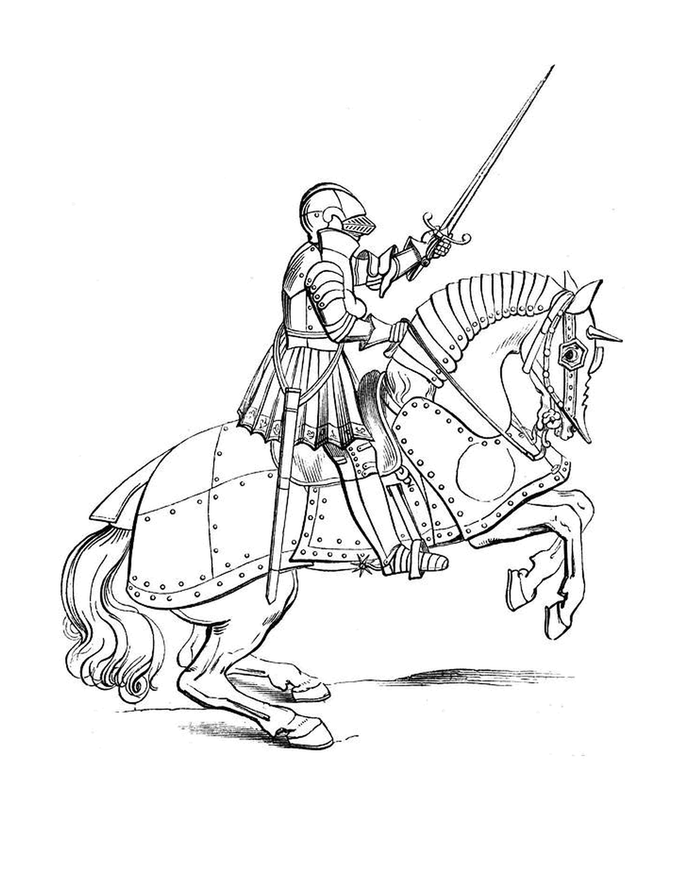  Un uomo su un cavallo 